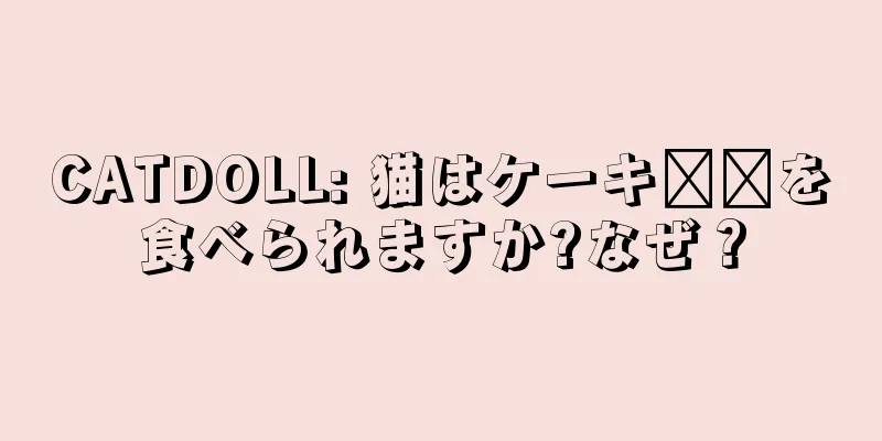 CATDOLL: 猫はケーキ​​を食べられますか?なぜ？