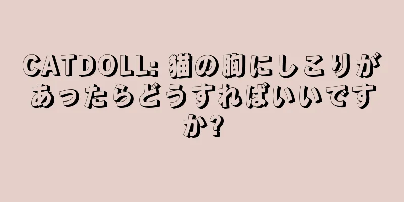 CATDOLL: 猫の胸にしこりがあったらどうすればいいですか?