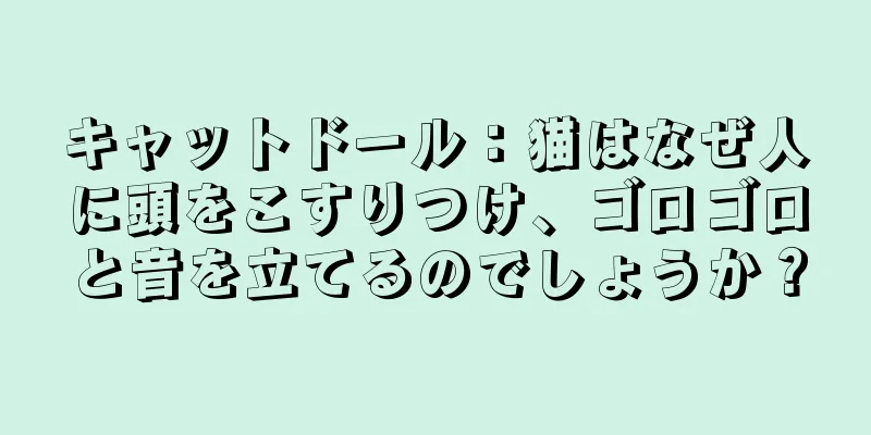 キャットドール：猫はなぜ人に頭をこすりつけ、ゴロゴロと音を立てるのでしょうか？