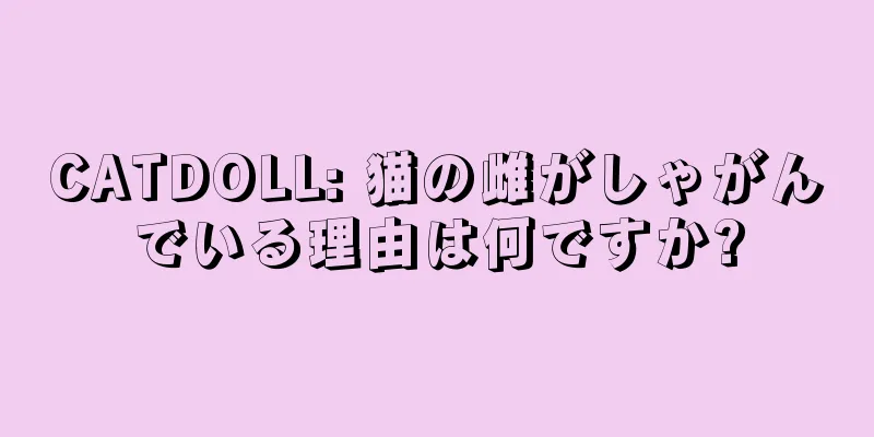 CATDOLL: 猫の雌がしゃがんでいる理由は何ですか?