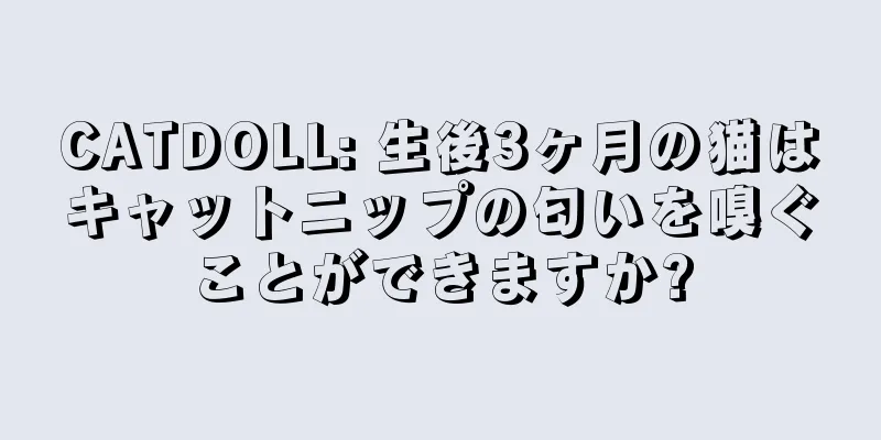 CATDOLL: 生後3ヶ月の猫はキャットニップの匂いを嗅ぐことができますか?
