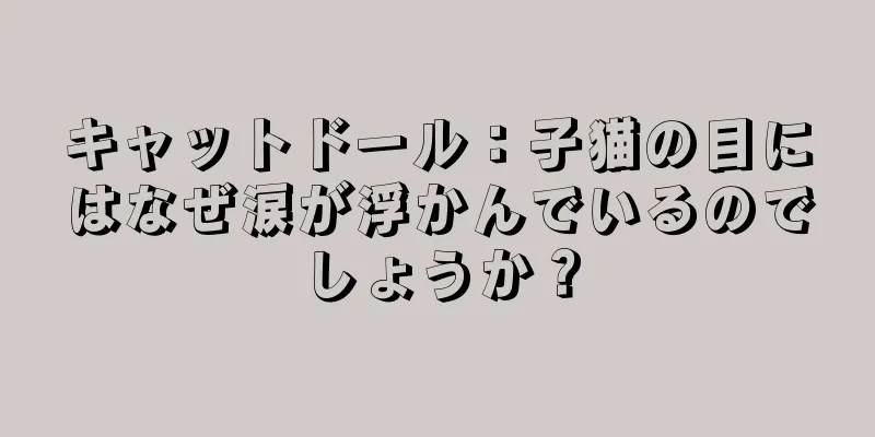 キャットドール：子猫の目にはなぜ涙が浮かんでいるのでしょうか？