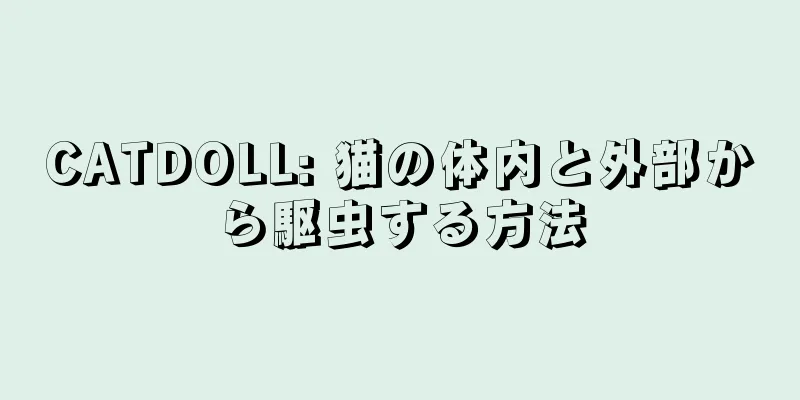CATDOLL: 猫の体内と外部から駆虫する方法
