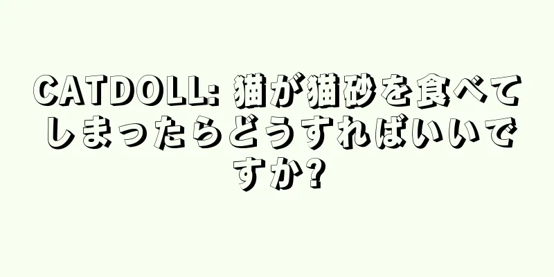 CATDOLL: 猫が猫砂を食べてしまったらどうすればいいですか?