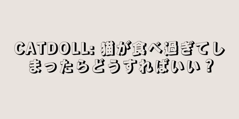 CATDOLL: 猫が食べ過ぎてしまったらどうすればいい？