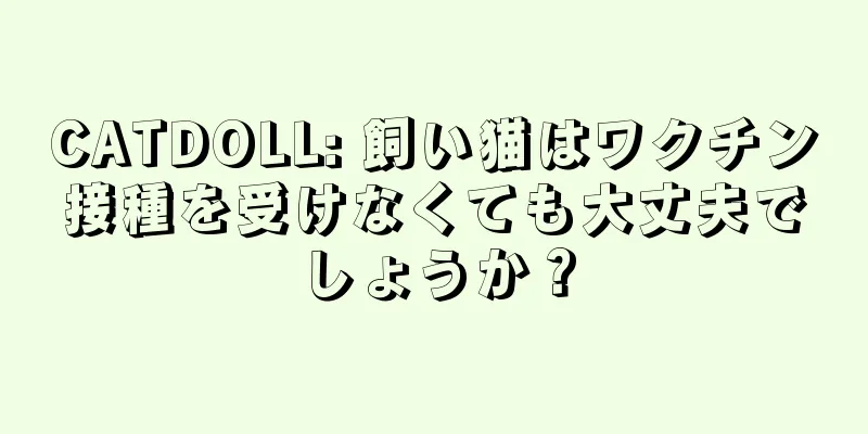 CATDOLL: 飼い猫はワクチン接種を受けなくても大丈夫でしょうか？