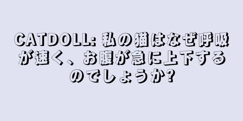 CATDOLL: 私の猫はなぜ呼吸が速く、お腹が急に上下するのでしょうか?