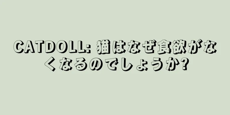 CATDOLL: 猫はなぜ食欲がなくなるのでしょうか?