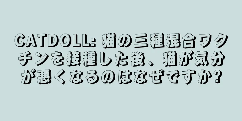 CATDOLL: 猫の三種混合ワクチンを接種した後、猫が気分が悪くなるのはなぜですか?