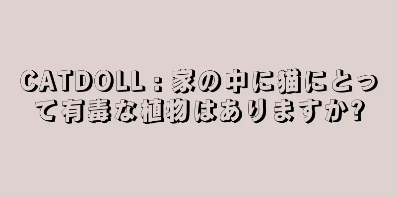 CATDOLL : 家の中に猫にとって有毒な植物はありますか?