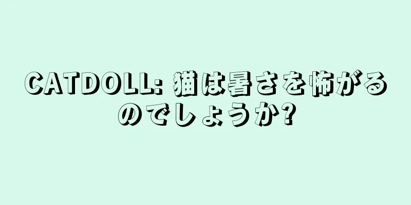 CATDOLL: 猫は暑さを怖がるのでしょうか?