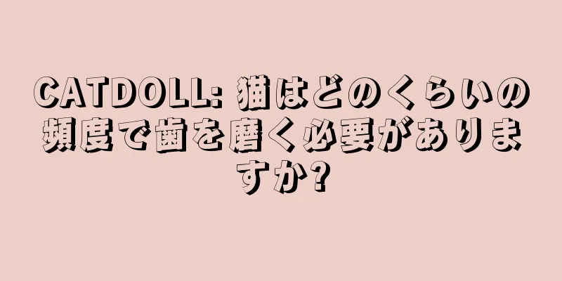 CATDOLL: 猫はどのくらいの頻度で歯を磨く必要がありますか?