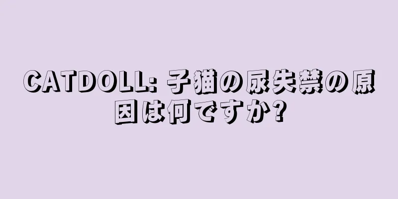 CATDOLL: 子猫の尿失禁の原因は何ですか?