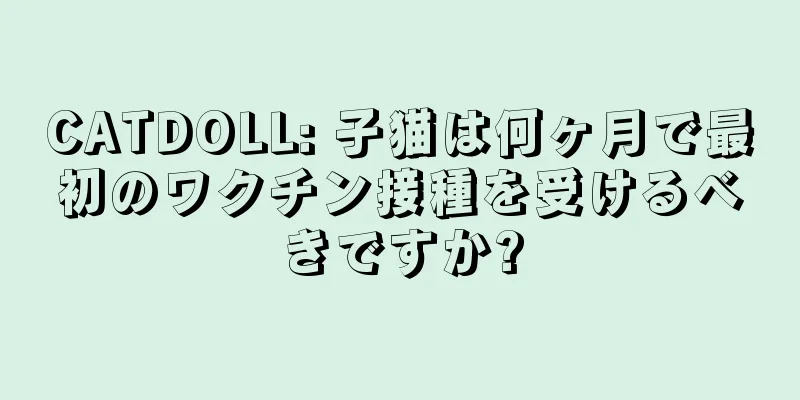 CATDOLL: 子猫は何ヶ月で最初のワクチン接種を受けるべきですか?
