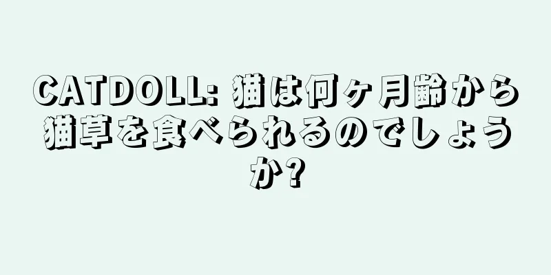 CATDOLL: 猫は何ヶ月齢から猫草を食べられるのでしょうか?
