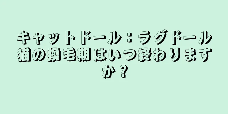 キャットドール：ラグドール猫の換毛期はいつ終わりますか？