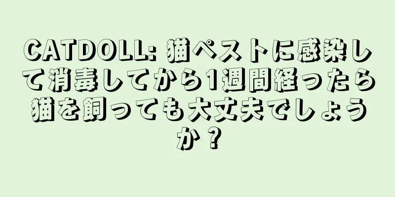 CATDOLL: 猫ペストに感染して消毒してから1週間経ったら猫を飼っても大丈夫でしょうか？