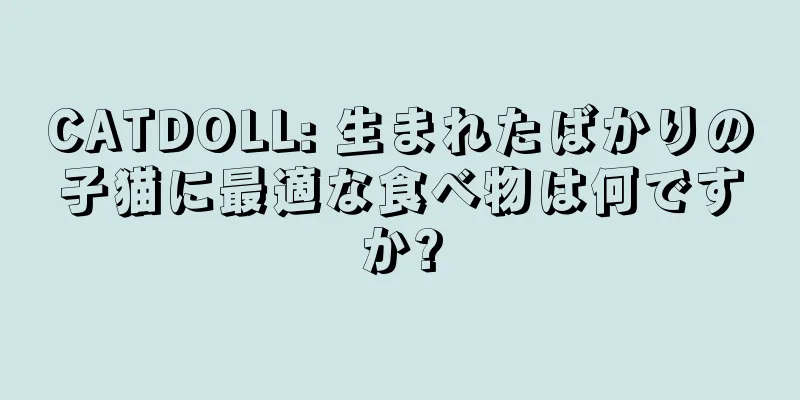 CATDOLL: 生まれたばかりの子猫に最適な食べ物は何ですか?