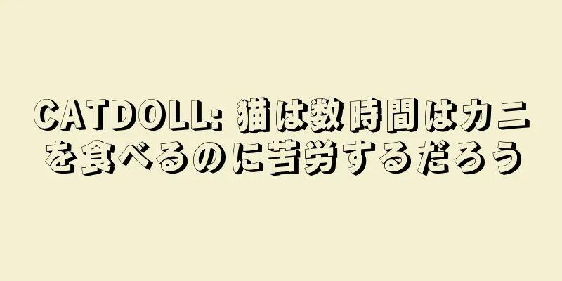 CATDOLL: 猫は数時間はカニを食べるのに苦労するだろう