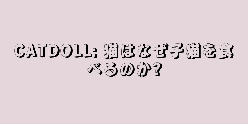 CATDOLL: 猫はなぜ子猫を食べるのか?