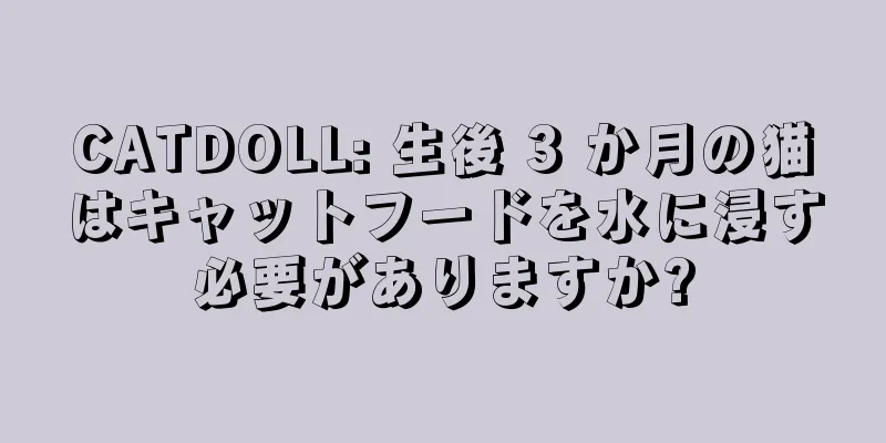 CATDOLL: 生後 3 か月の猫はキャットフードを水に浸す必要がありますか?