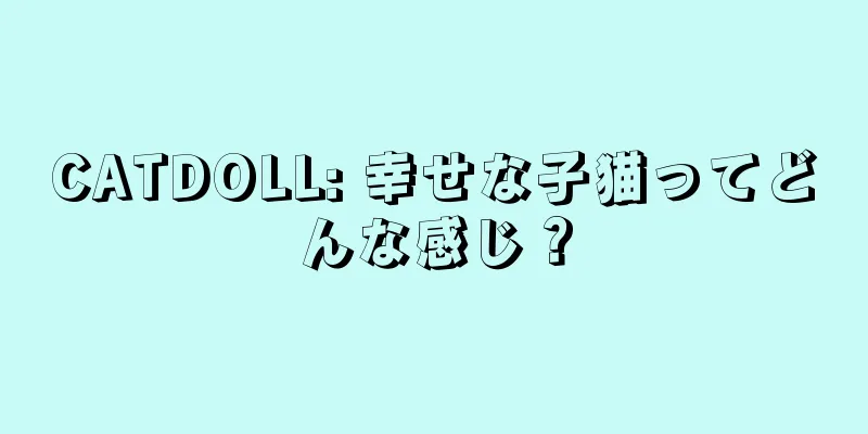 CATDOLL: 幸せな子猫ってどんな感じ？