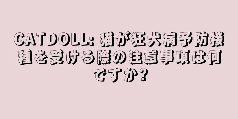 CATDOLL: 猫が狂犬病予防接種を受ける際の注意事項は何ですか?