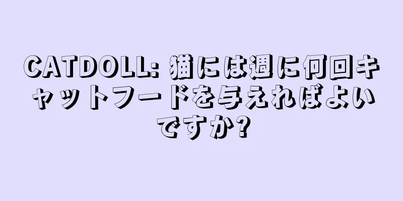 CATDOLL: 猫には週に何回キャットフードを与えればよいですか?
