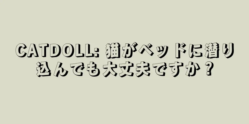 CATDOLL: 猫がベッドに潜り込んでも大丈夫ですか？