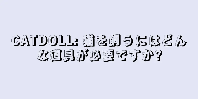 CATDOLL: 猫を飼うにはどんな道具が必要ですか?