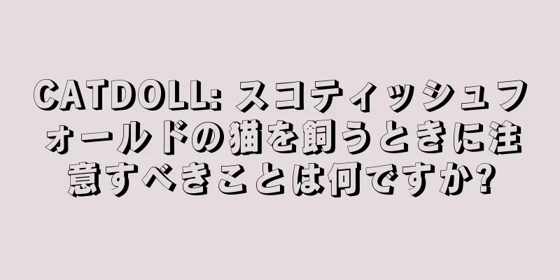 CATDOLL: スコティッシュフォールドの猫を飼うときに注意すべきことは何ですか?