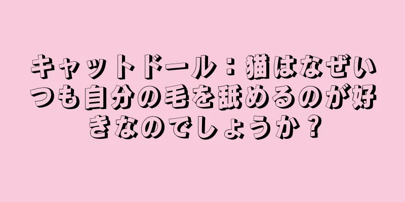 キャットドール：猫はなぜいつも自分の毛を舐めるのが好きなのでしょうか？