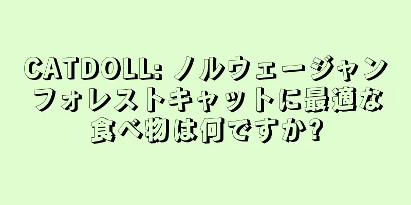 CATDOLL: ノルウェージャンフォレストキャットに最適な食べ物は何ですか?