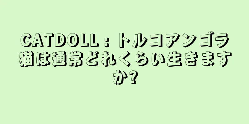 CATDOLL : トルコアンゴラ猫は通常どれくらい生きますか?