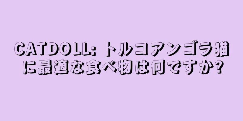 CATDOLL: トルコアンゴラ猫に最適な食べ物は何ですか?