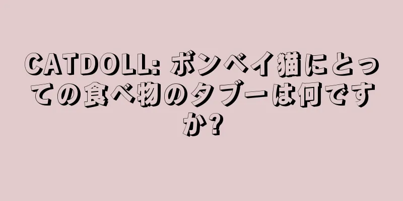 CATDOLL: ボンベイ猫にとっての食べ物のタブーは何ですか?