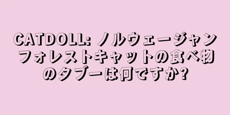 CATDOLL: ノルウェージャンフォレストキャットの食べ物のタブーは何ですか?