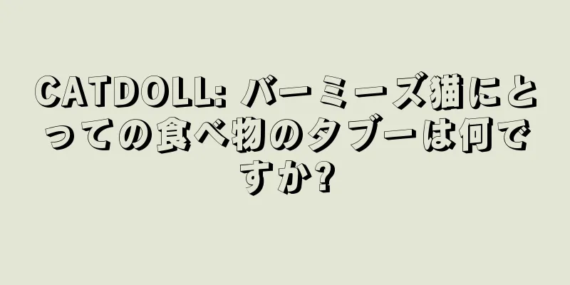 CATDOLL: バーミーズ猫にとっての食べ物のタブーは何ですか?