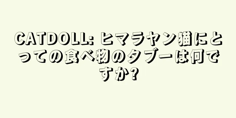 CATDOLL: ヒマラヤン猫にとっての食べ物のタブーは何ですか?