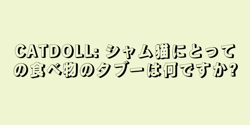 CATDOLL: シャム猫にとっての食べ物のタブーは何ですか?