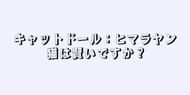 キャットドール：ヒマラヤン猫は賢いですか？