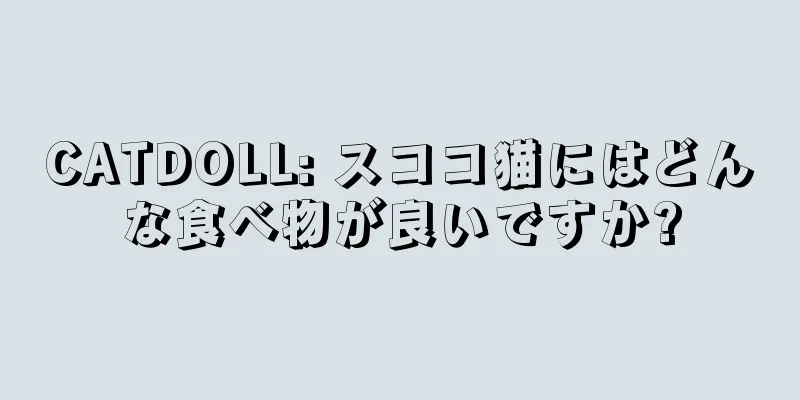CATDOLL: スココ猫にはどんな食べ物が良いですか?