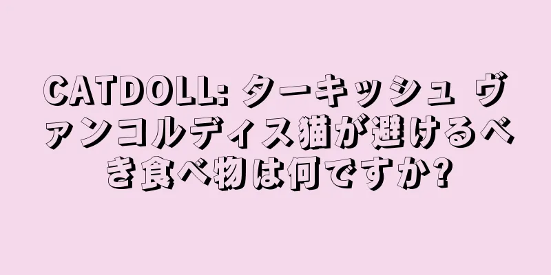 CATDOLL: ターキッシュ ヴァンコルディス猫が避けるべき食べ物は何ですか?