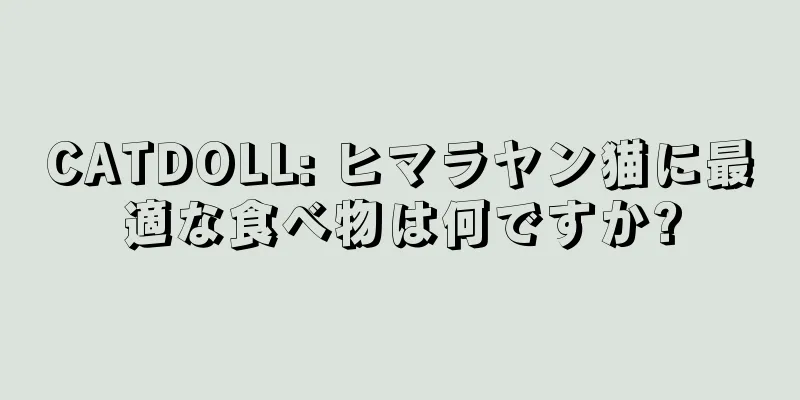 CATDOLL: ヒマラヤン猫に最適な食べ物は何ですか?
