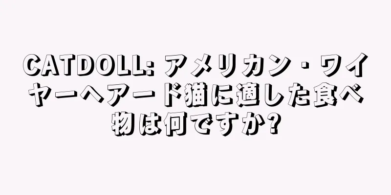 CATDOLL: アメリカン・ワイヤーヘアード猫に適した食べ物は何ですか?