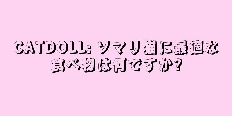 CATDOLL: ソマリ猫に最適な食べ物は何ですか?