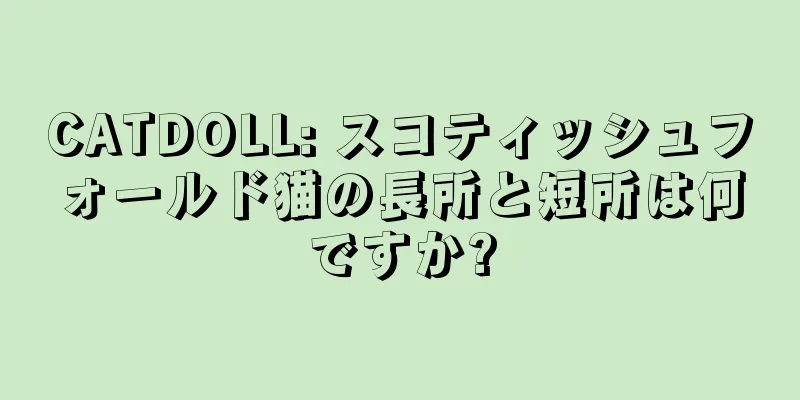 CATDOLL: スコティッシュフォールド猫の長所と短所は何ですか?
