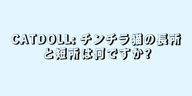 CATDOLL: チンチラ猫の長所と短所は何ですか?