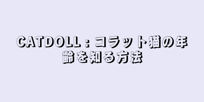 CATDOLL : コラット猫の年齢を知る方法