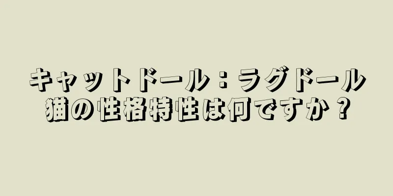 キャットドール：ラグドール猫の性格特性は何ですか？